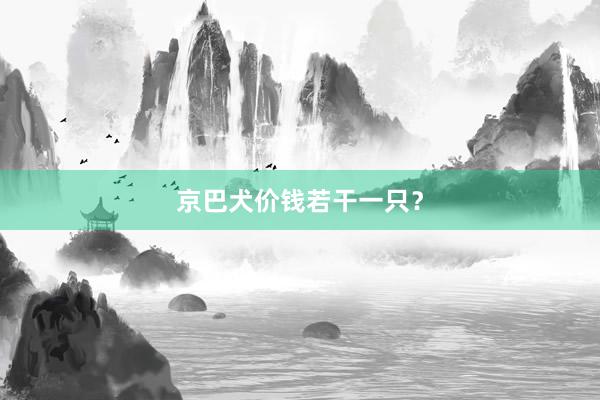 京巴犬价钱若干一只？