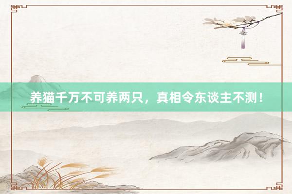 养猫千万不可养两只，真相令东谈主不测！